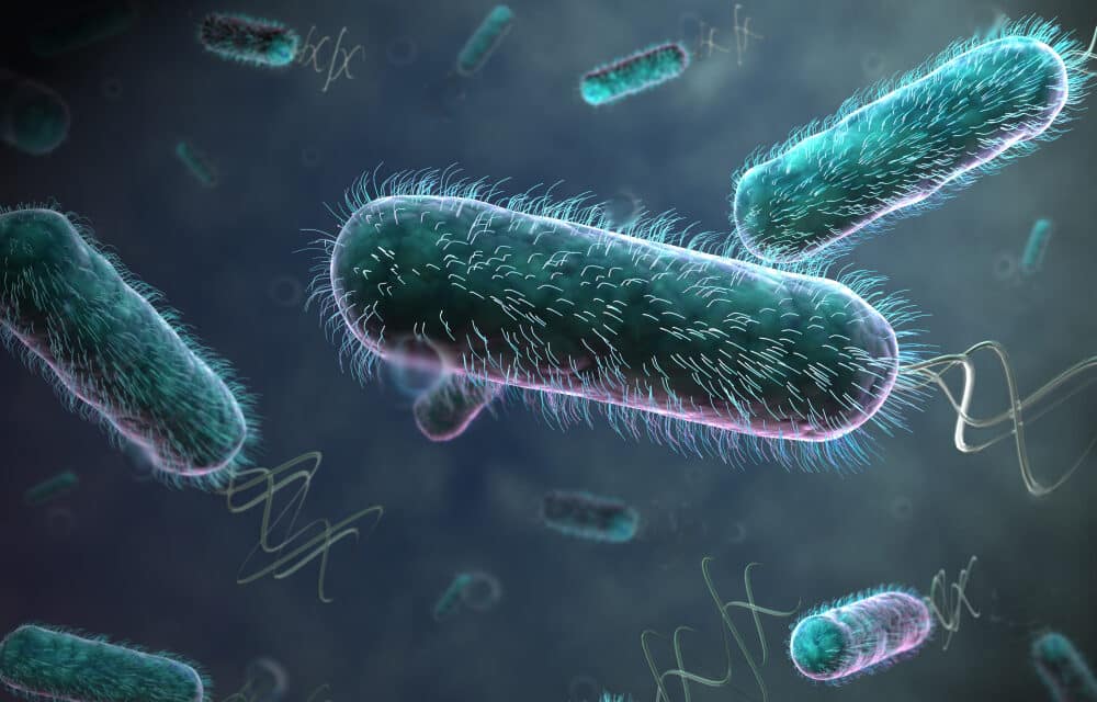 CDC investigating ‘fast-moving’ E. coli outbreak in Michigan and Ohio, nearly 30 people infected