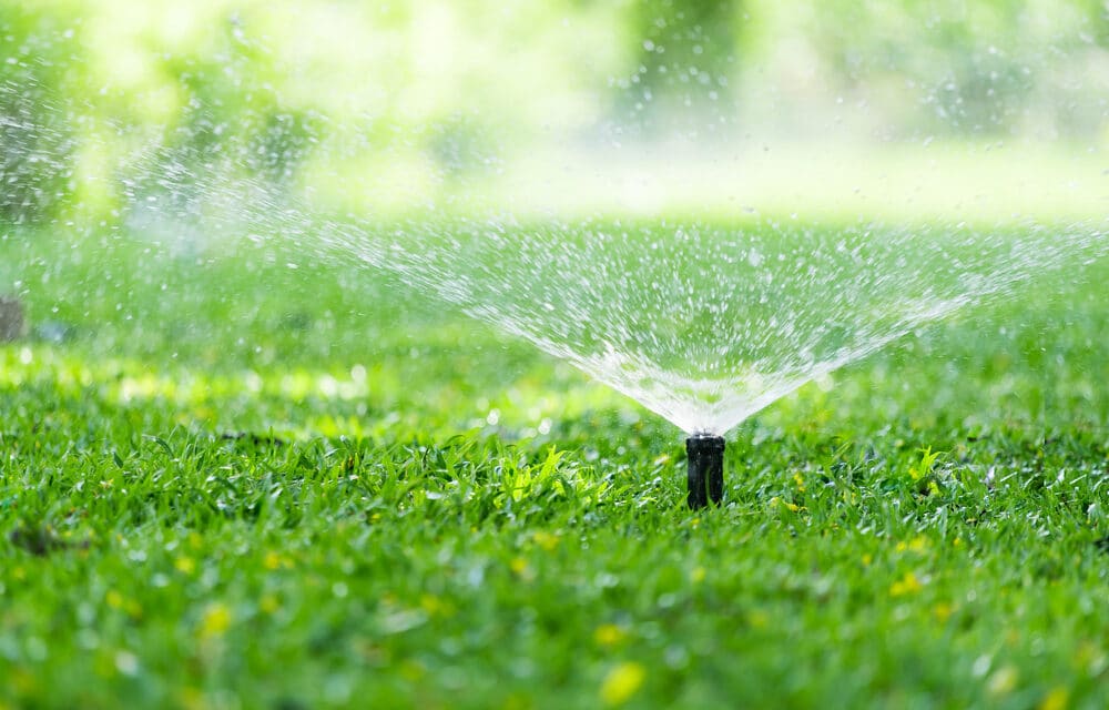 4 million Southern Californians are being asked to stop watering outdoors for 15 days, starting Sept. 6