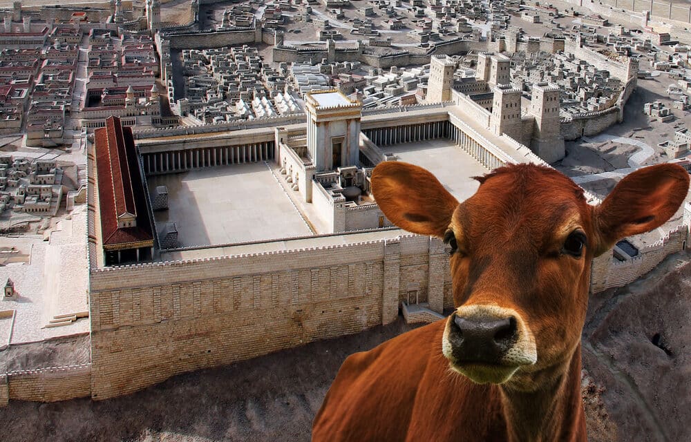 (NEW PODCAST) Has the final stage been set for the third temple?
