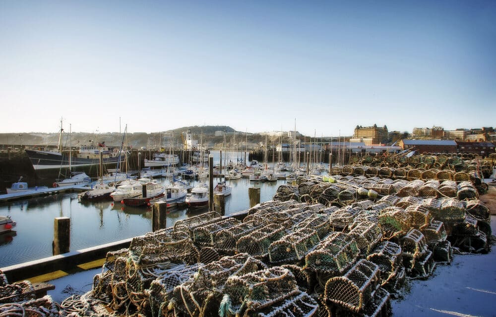 Over One Billion snow crabs have vanished sparking official investigation and huge blow to America’s seafood industry