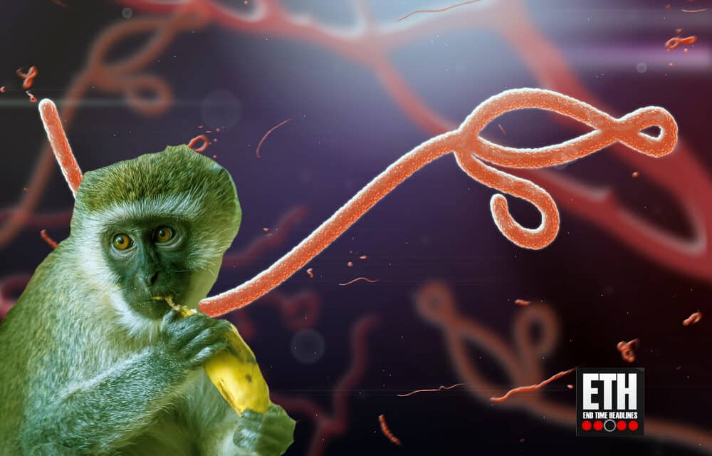 New deadly Ebola-like virus that lives in African monkeys is ‘poised for spillover’ into humans and could cause next pandemic
