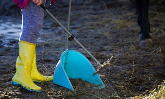 Energy Crisis in Europe is so bad that some may resort to using horse poop to heat their homes this Winter