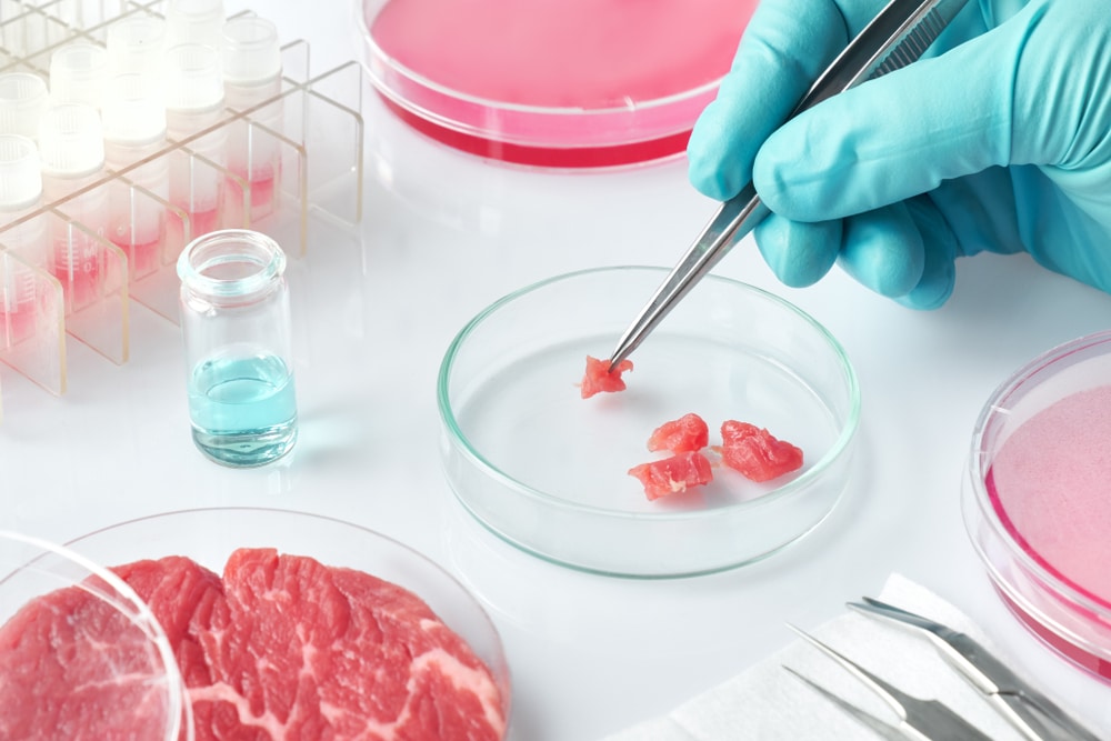 The FDA has just approved Lab-grown meat for human consumption