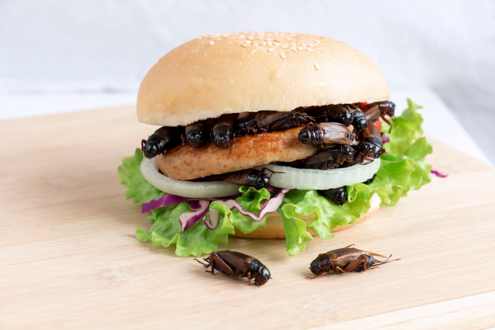 Say goodbye to conventional meat and hello to “Beetle Burgers”, Bill Gates says fake meat products will ‘eventually’ be ‘very good’