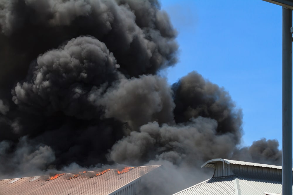 Fire breaks out at New Zealand’s largest egg farm Killing 75,000 hens amid National Shortage