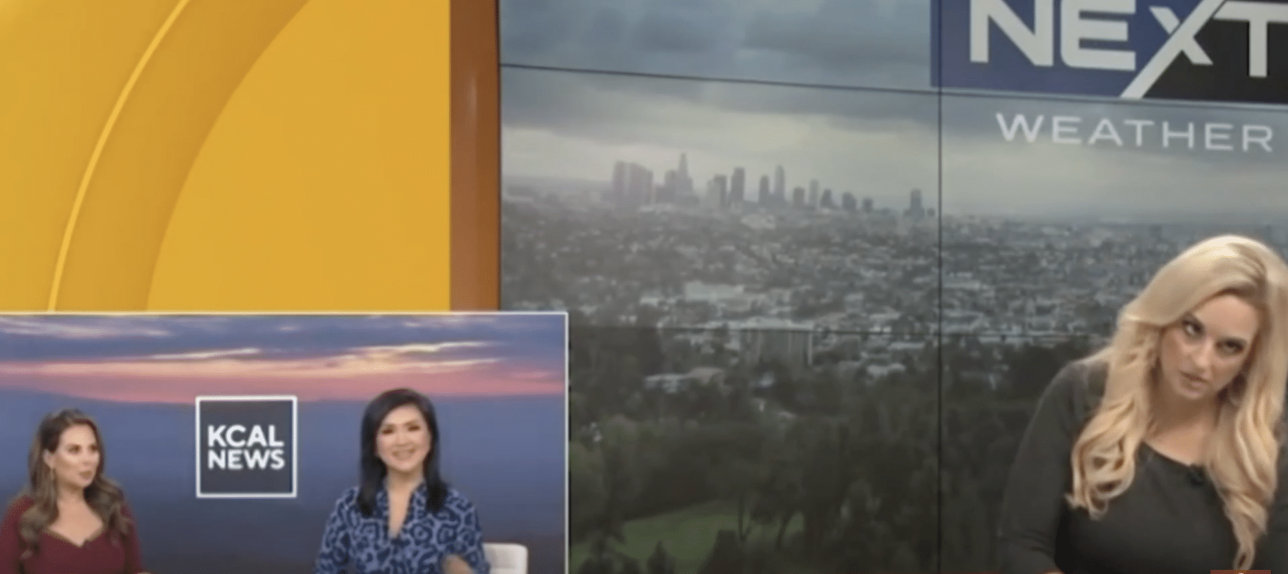 (WATCH) LA weather forecaster’s eyes roll to the back of her head before she collapses on live TV