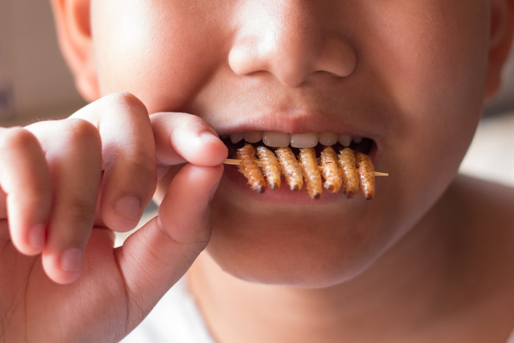 Utah school teacher gives extra credit to kids who eat bugs as part of ‘climate change’ assignment