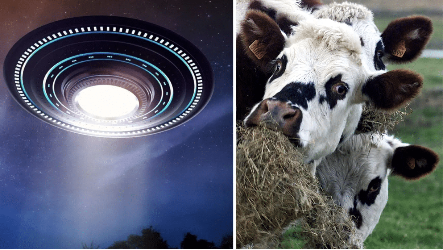 UPDATE: Mysterious deaths of six cattle in Texas sparks UFO fears: ‘Something strange’ is happening