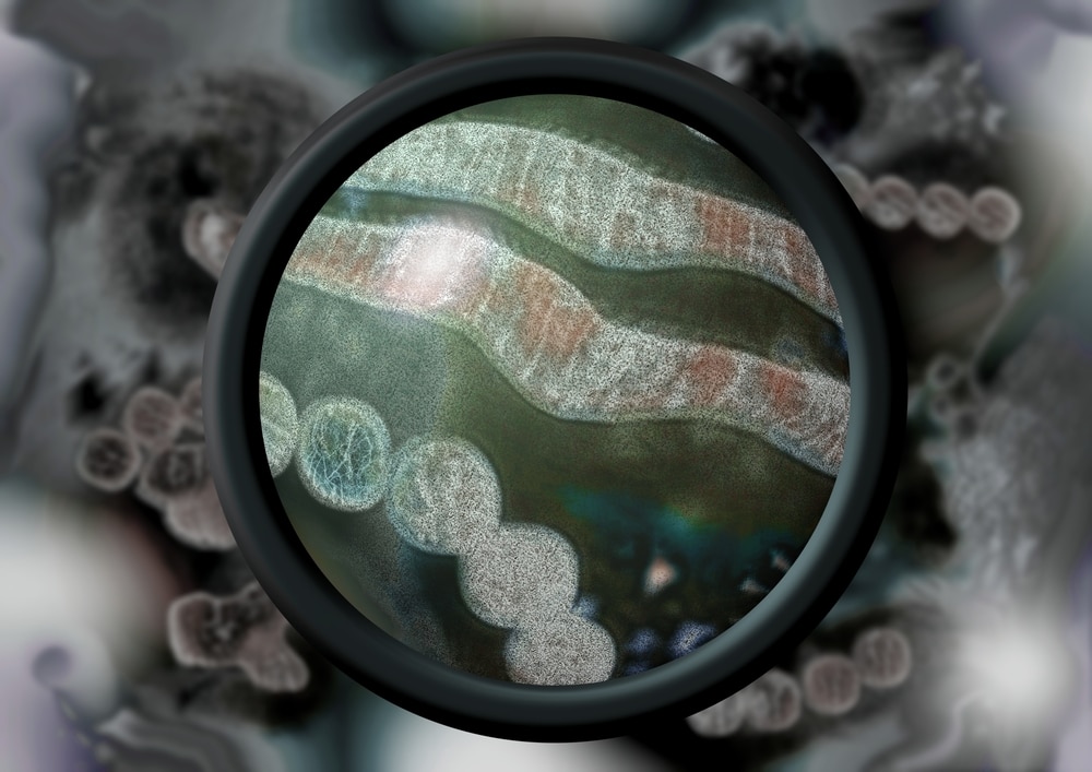 H5N1 has now spread to ferrets and experts say this is “very troubling”