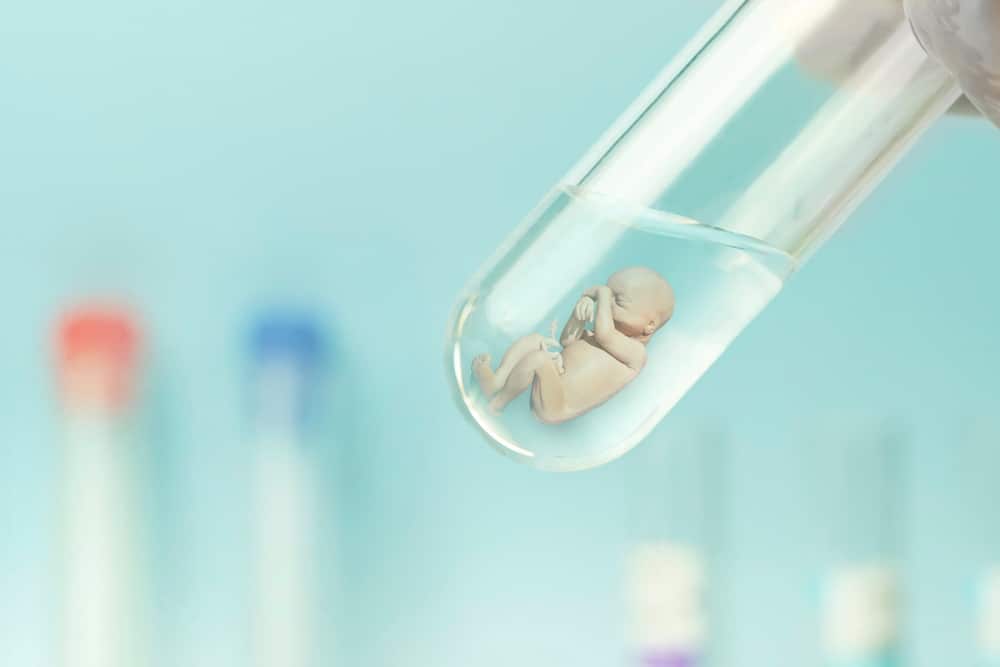 Researcher says “Lab-Grown babies will be here within 5 years