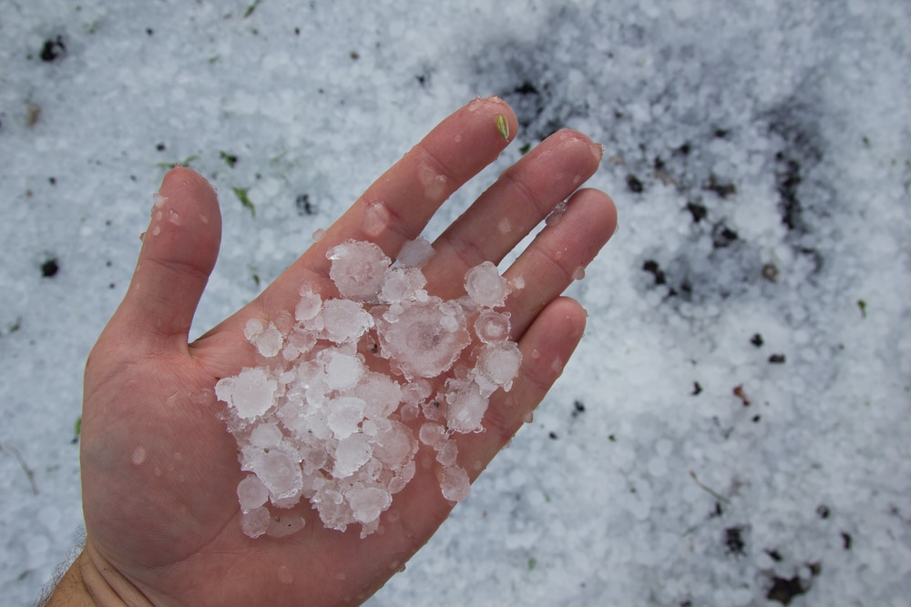 (WATCH) Massive hail storm pummels concertgoers injuring nearly 100 in Colorado