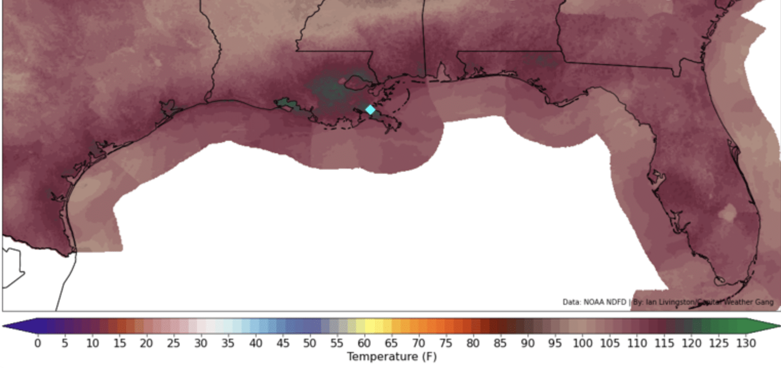 Gulf of Mexico waters are now the hottest on record as coastal areas cook