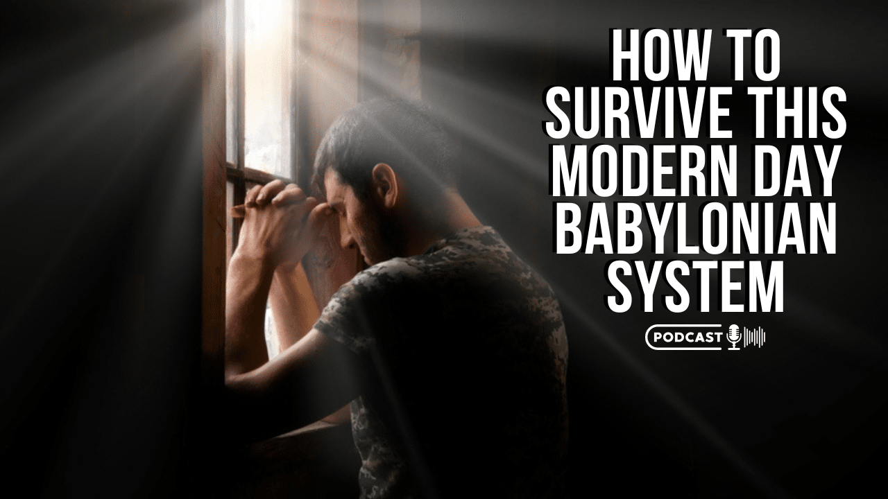 How To Survive This Modern Day Babylonian System