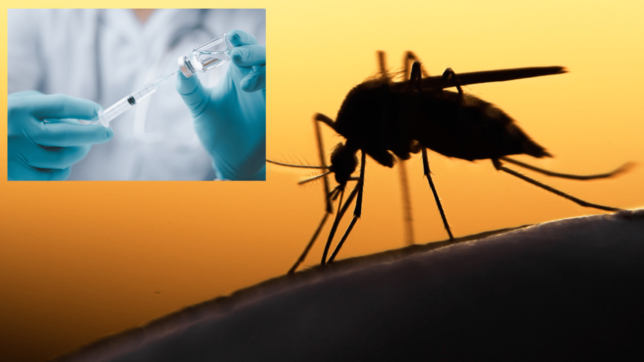 FDA approves first vaccine for mosquito borne virus that is becoming an ’emerging global health threat,’