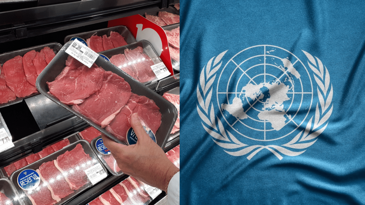 United Nations set to unveil “roadmap” for Americans to drastically cut back on meat consumption