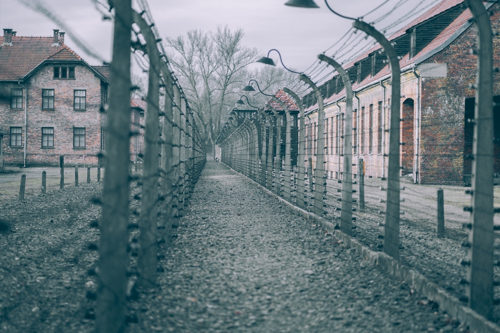 A Quarter of young Americans believe the Holocaust is a “Myth” or “Exaggerated”