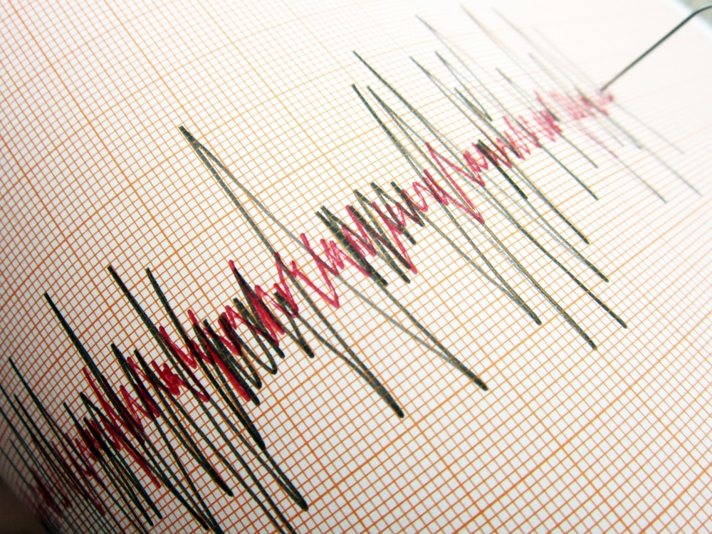 Earthquakes reported in South Carolina and Georgia