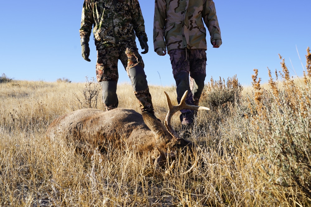 Two hunters ‘become first Americans to die from ZOMBIE DEER disease’ after eating infected meat