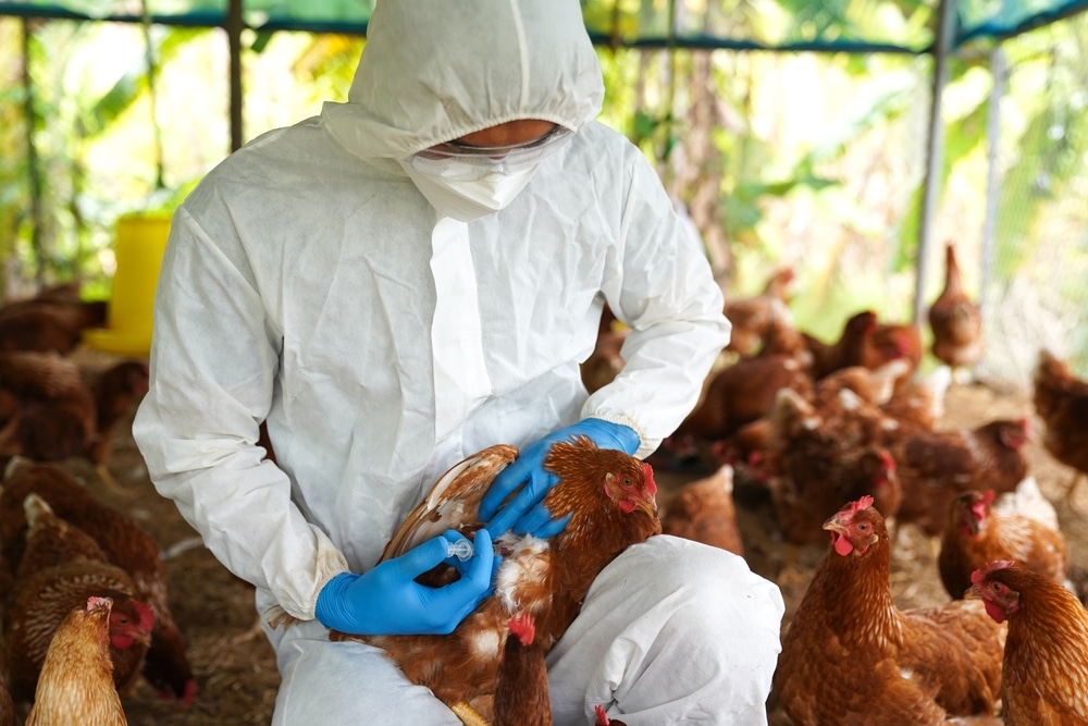 Bird flu has been detected in commercial poultry facility in western Michigan county