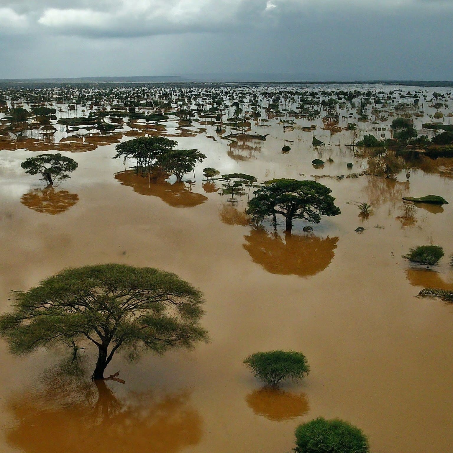 Flash floods sweep through half of Kenya killing at least 32