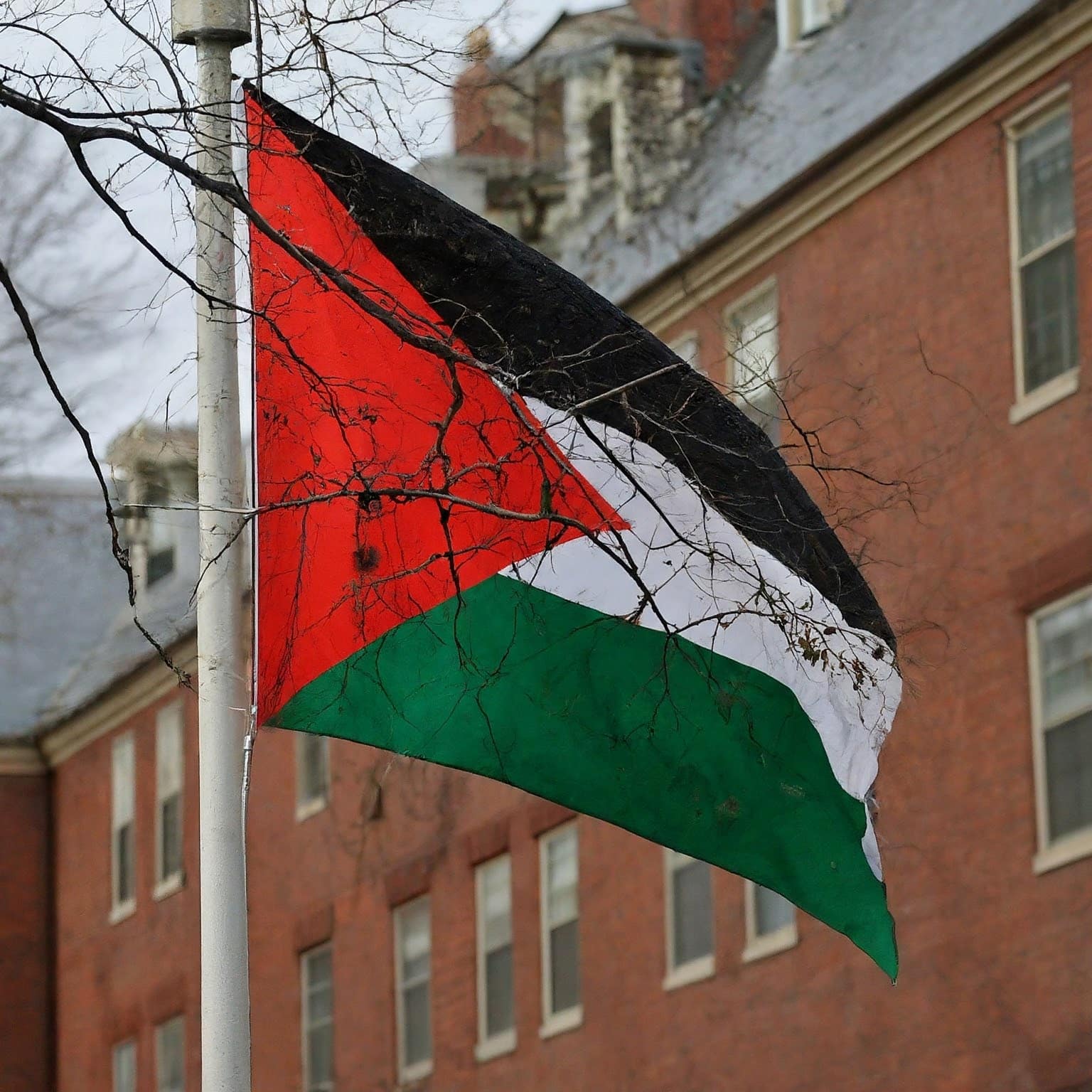 Harvard anti-Israel protesters replace American flag with Palestinian flag