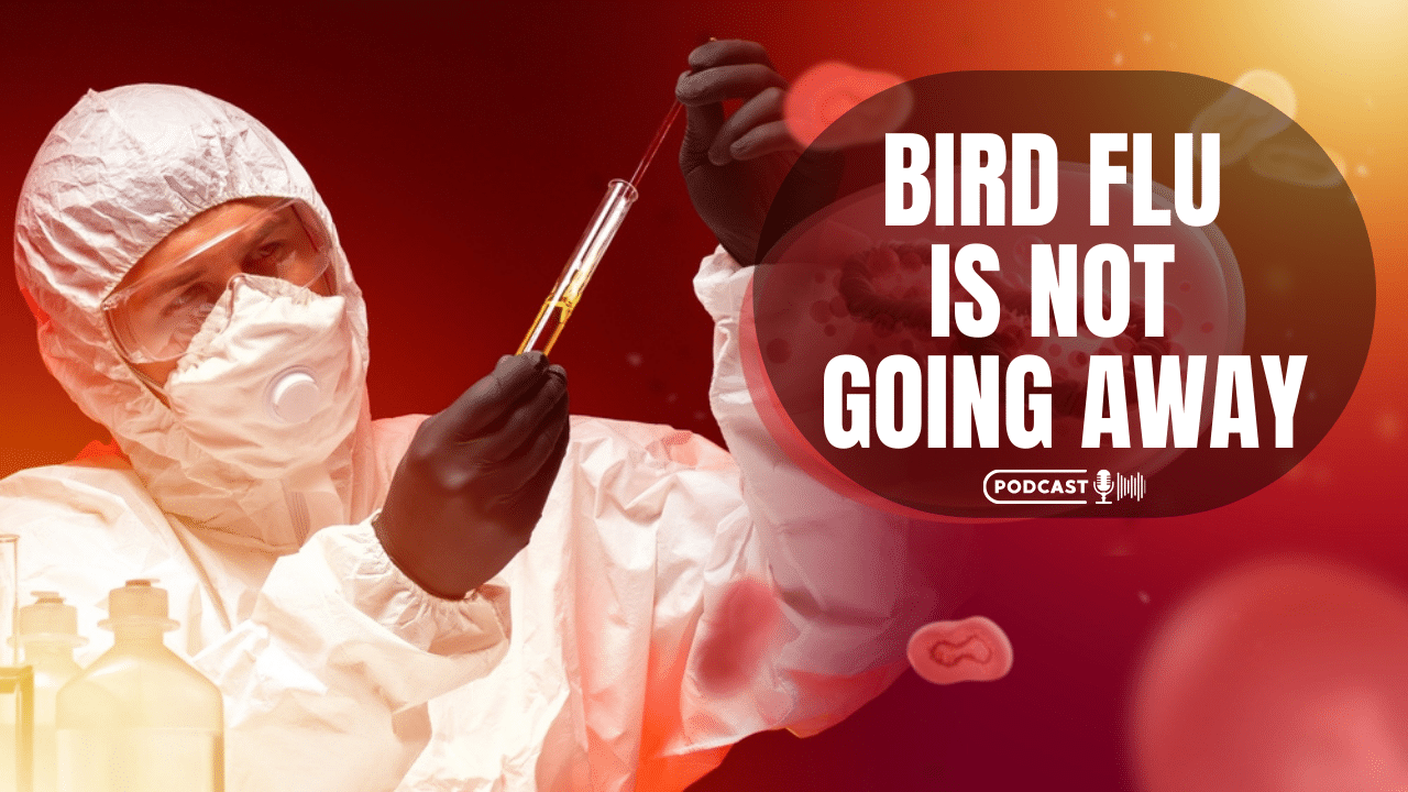 Bird Flu Is Not Going Away