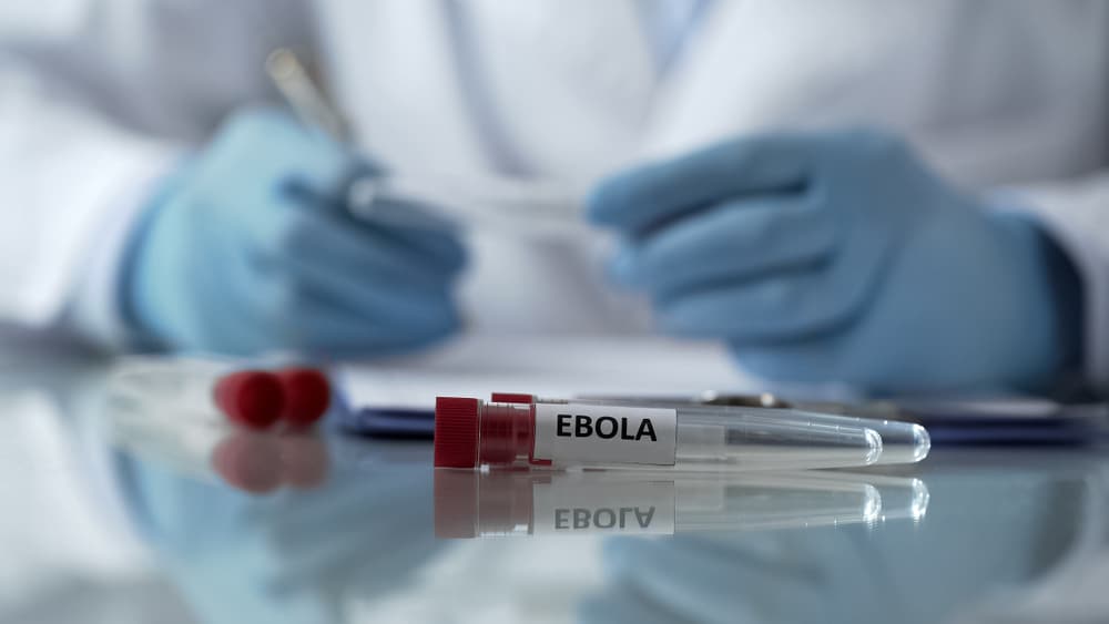 Chinese scientists create mutant Ebola virus to skirt around biosafety rules