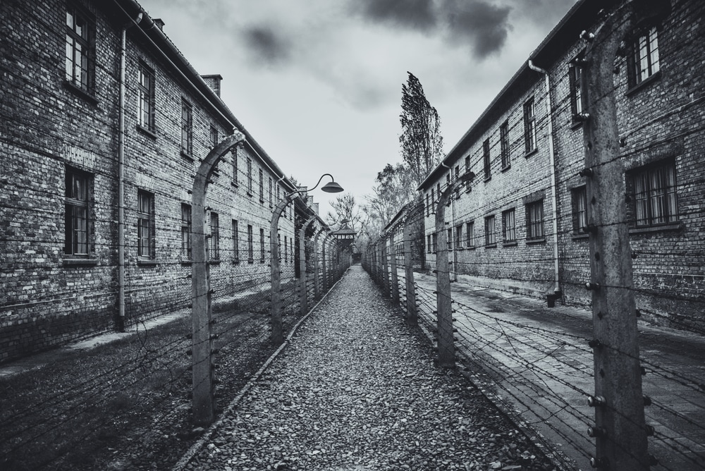 Palestinian man visits Auschwitz, publicly calls on Jews to return there ‘where they belong’