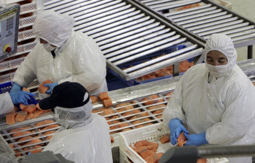 Experts say they have no idea how fast the bird flu is spreading across America