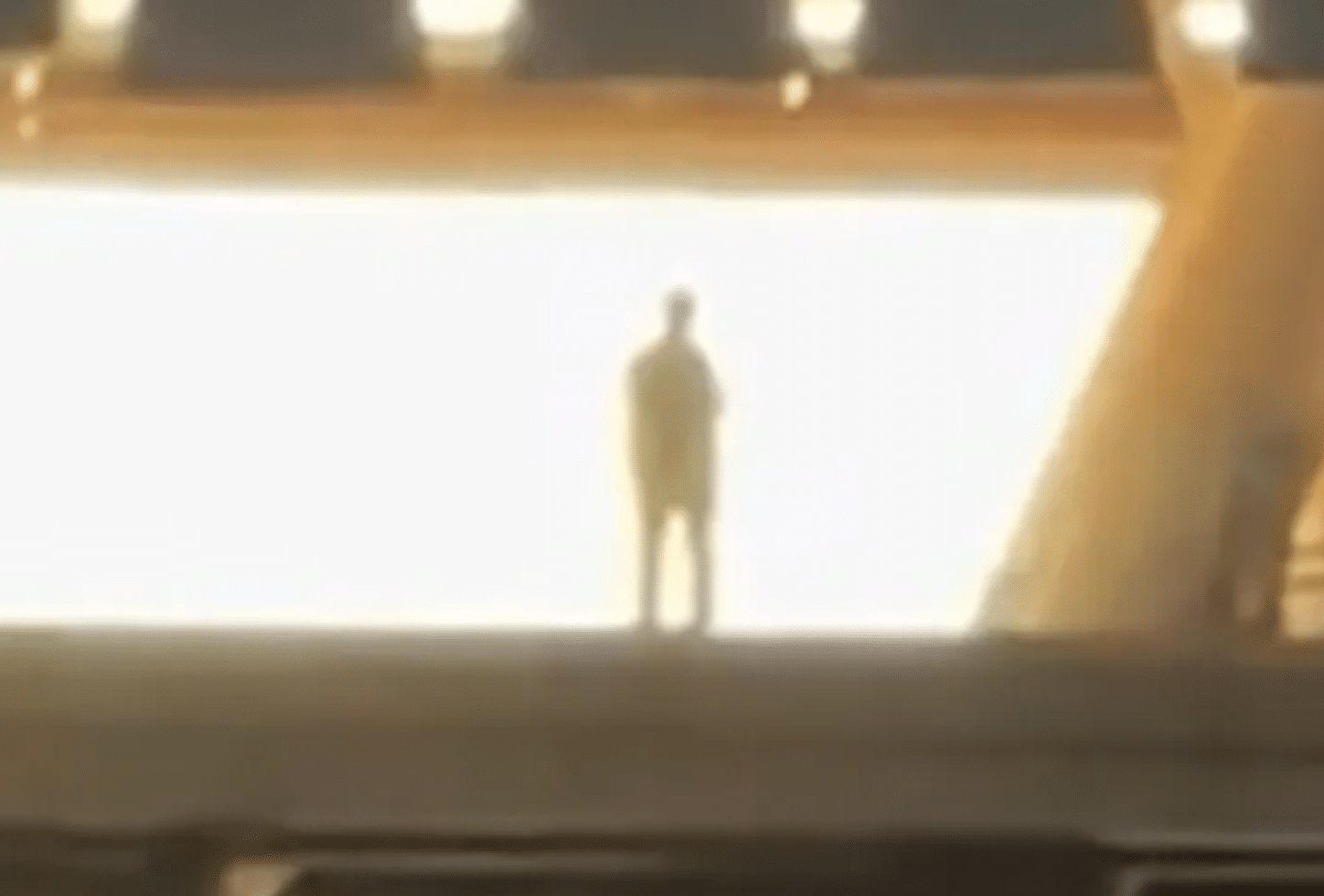 A creepy shadowy figure seen at Taylor Swift concert sends internet into a frenzy