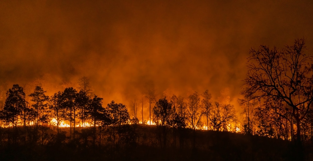 UN Chief Compares Humanity’s Climate to Dinosaur-ending Meteor