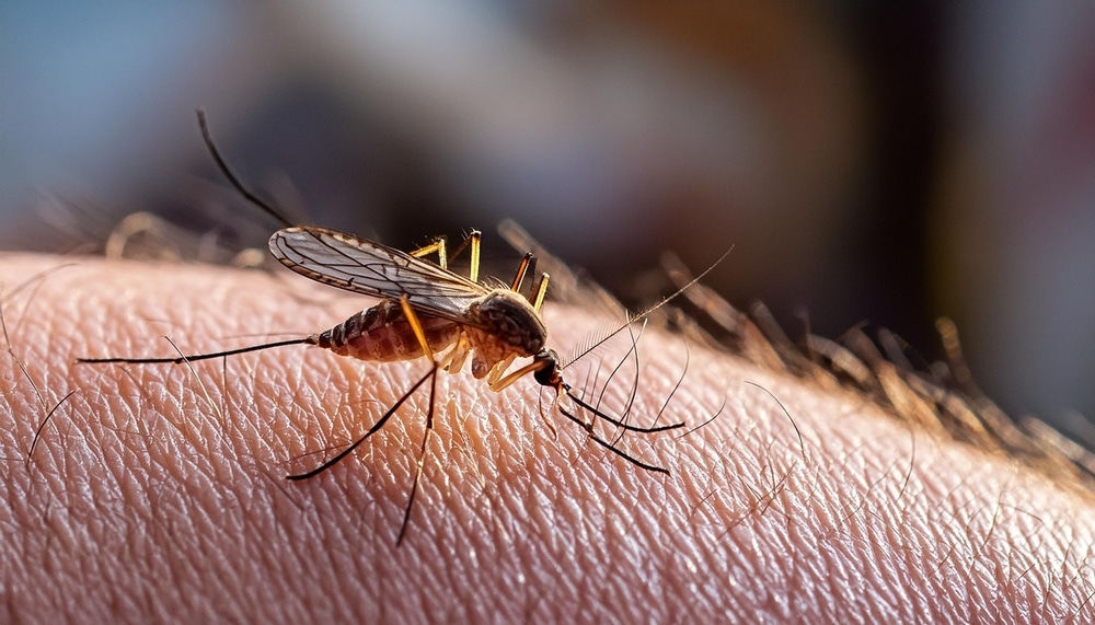 CDC issues dengue fever alert as hundreds of cases confirmed in Florida