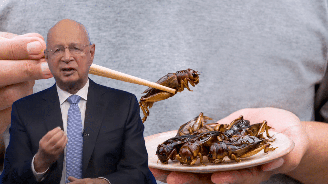 Globalist plan for humanity to “Eat Ze Bugs” has already become a reality for Billions