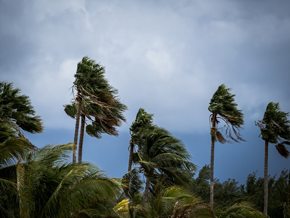 During,Hurricane,Season,In,South,Florida,,Strong,Winds,And,Threatening ...