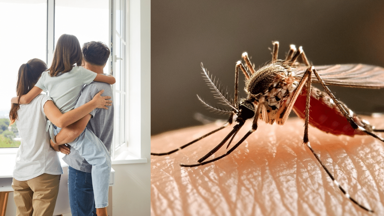 Vermont becomes the second US state to issue stay-at-home orders because of deadly mosquito-borne virus