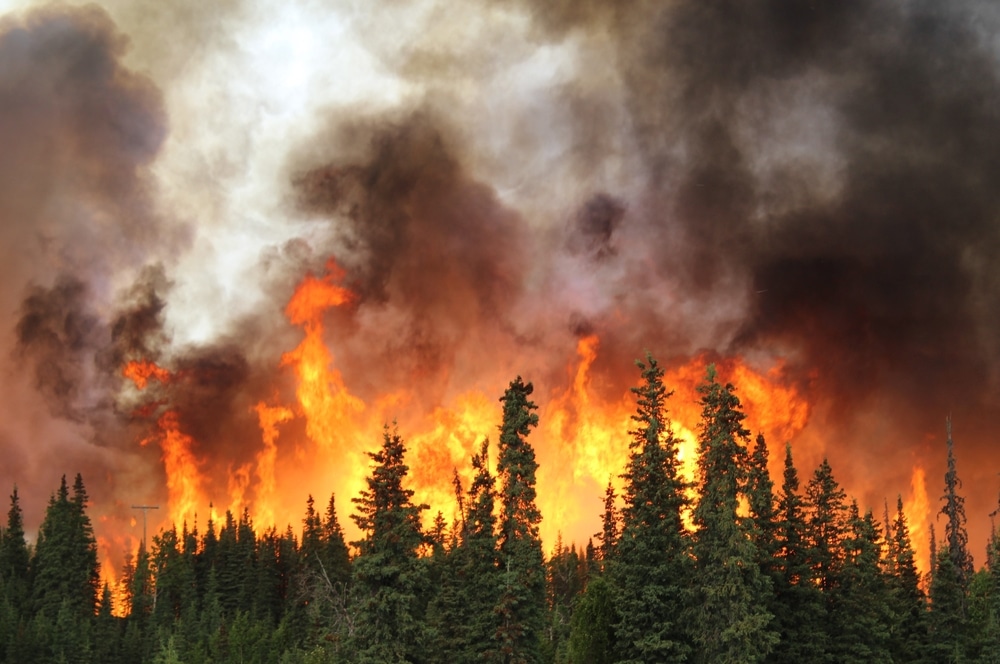 Wildfires scorch Southern California hillsides, torching homes and injuring several