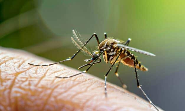 Mosquitoes inject human test subjects with parasite in study at Bill Gates-linked center