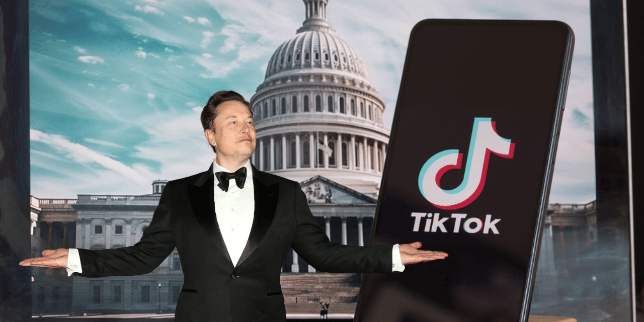 Could Elon Musk purchase TikTok and save it from being banned in the US