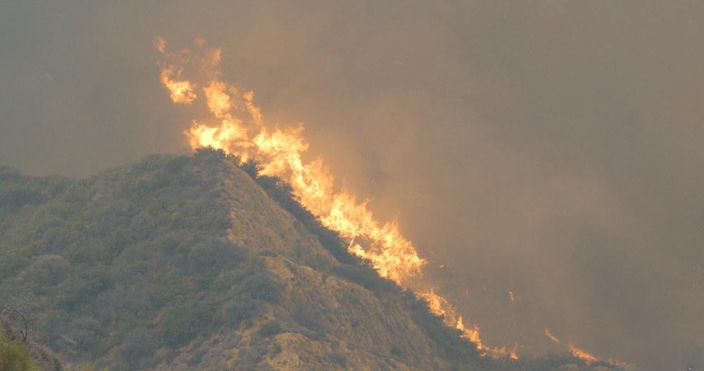 Palisades Fire has now moved toward Brentwood in a ‘SIGNIFICANT’ shift.