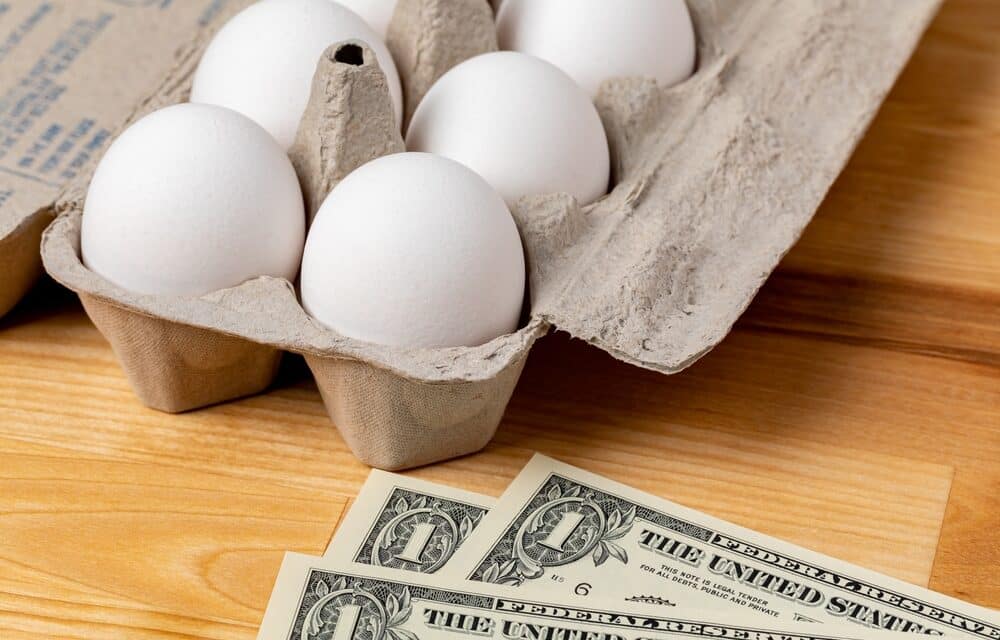 They are telling us to expect record-high egg prices for most of the year