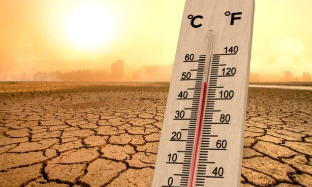 2024 declared hottest year on record according to UN Weather Agency