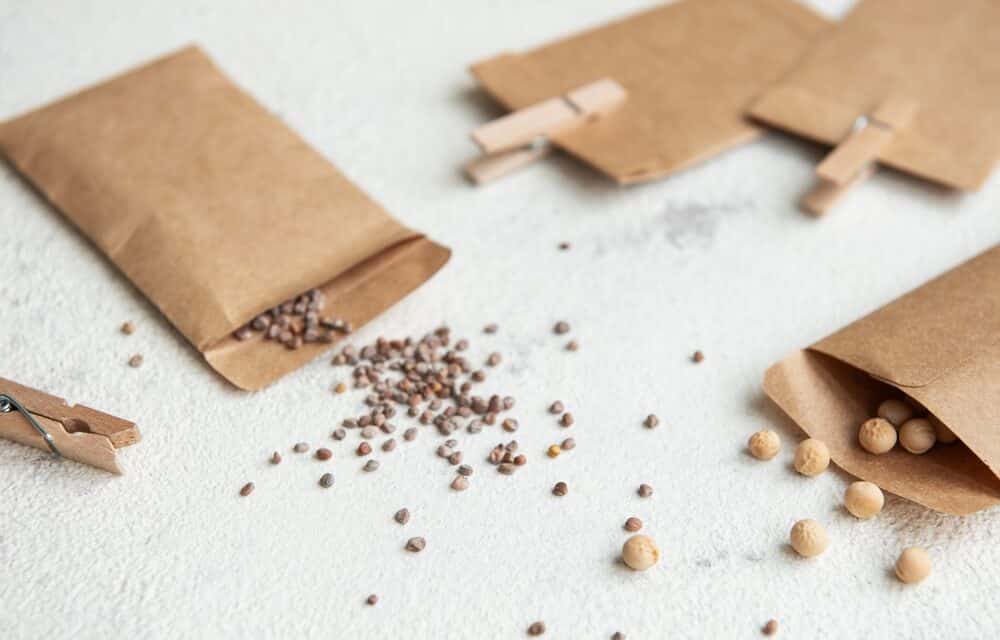 Mystery seed packages from China return to Texas, prompting alarm