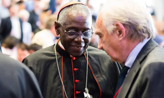 This is the cardinal from Africa who conservative Catholics want as the next Pope