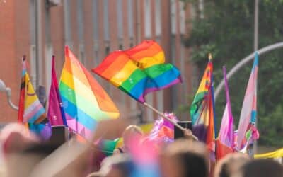Hungary passes constitutional amendment to ban LGBTQ+ public events