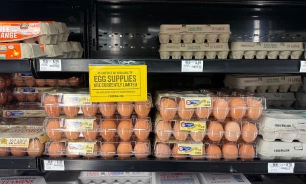 Egg prices continue to increase to record highs