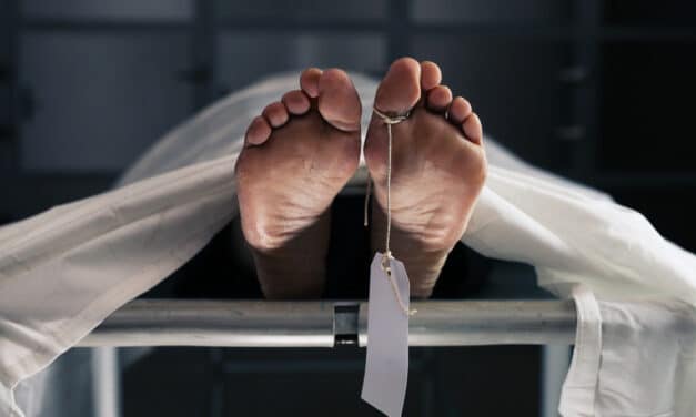Scientists want to grow ‘spare’ human bodies in order to  ‘revolutionize medicine’