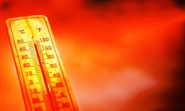 Top weather forecasters warn that humanity is set to endure several years of killer heat