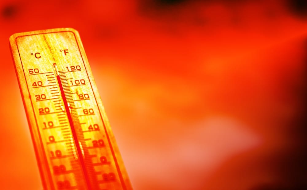 Top weather forecasters warn that humanity is set to endure several years of killer heat