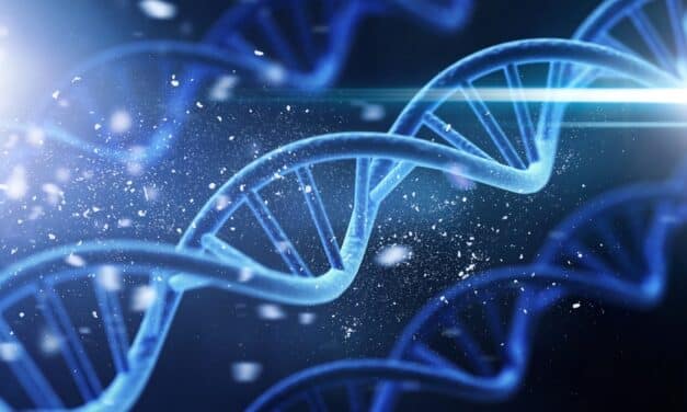 Scientists begin working to create artificial human DNA