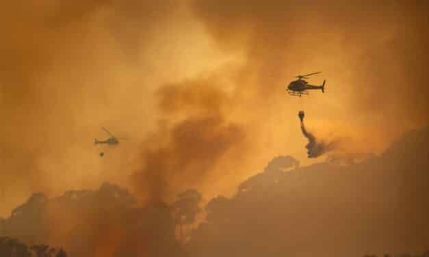 Deadly Ambush on Firefighters Amid Idaho Wildfire Crisis